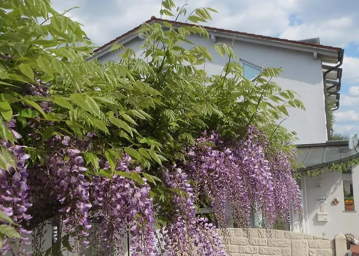 Lindner's מלון 3*